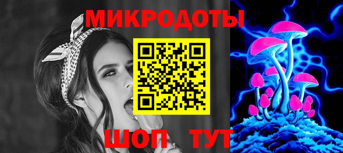 Псилоцибиновые грибы Psilocybine cubensis Петрозаводск